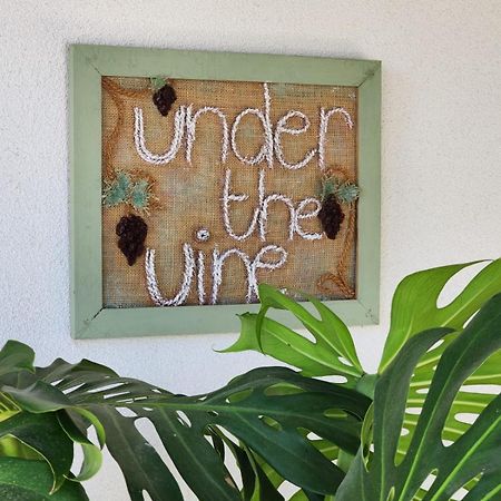 Appartamento Under The Vine Garden House Platánion Esterno foto