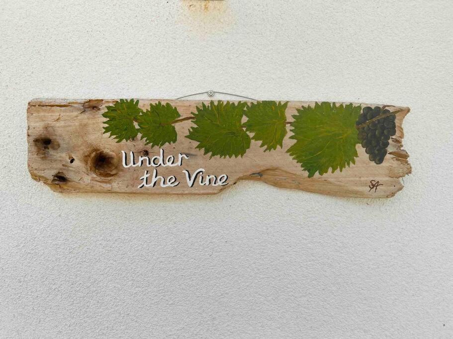Appartamento Under The Vine Garden House Platánion Esterno foto